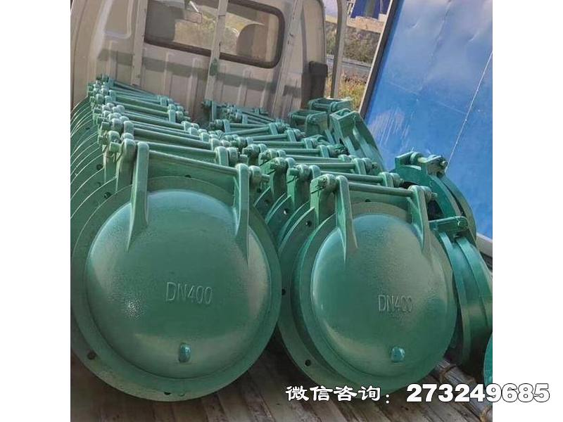 临泽县污水管玻璃钢拍门