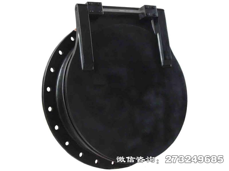 珲春pgz铸铁拍门